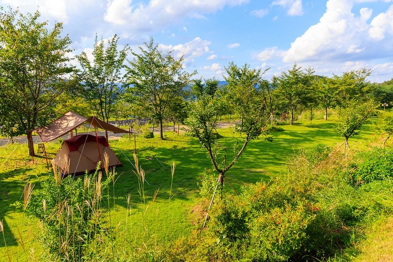 왕산골 관광농원 시설 사진 23