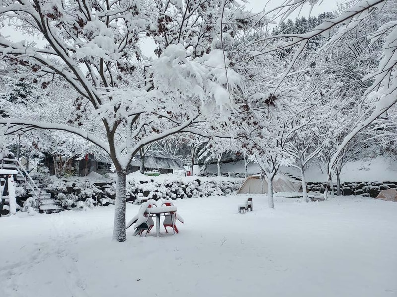 횡성산울림오토캠핑장 시설 사진 22