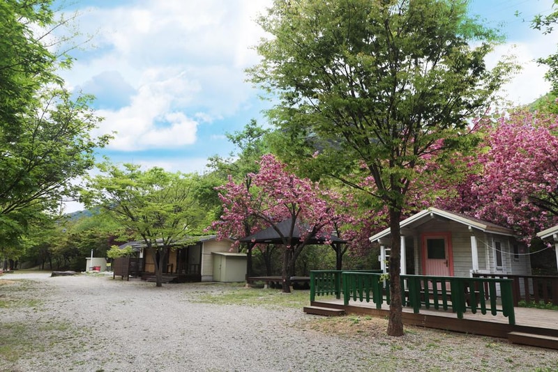 미산가족오토캠핑장 시설 사진 45