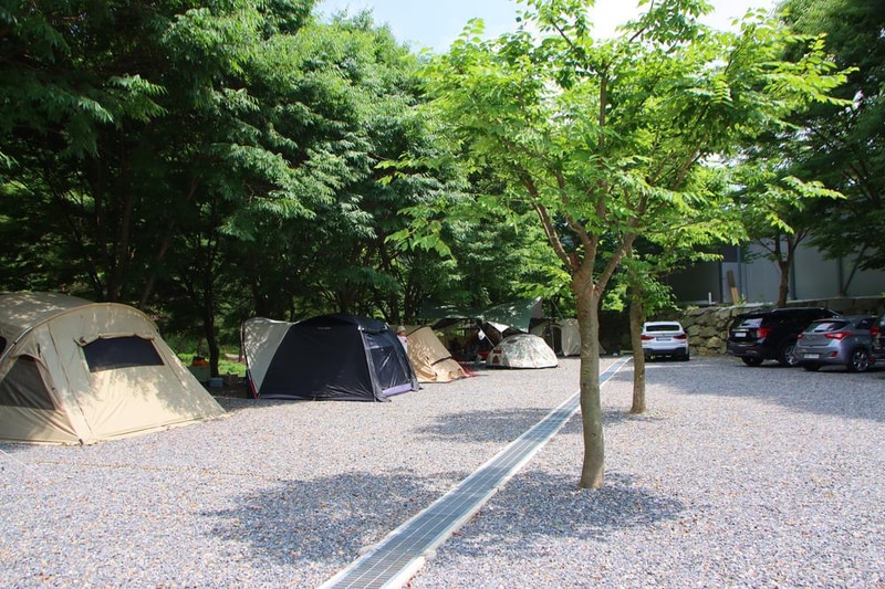 법흥계곡캠핑오늘 시설 사진 18