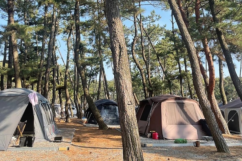 몽산포감성캠핑장 시설 사진 4