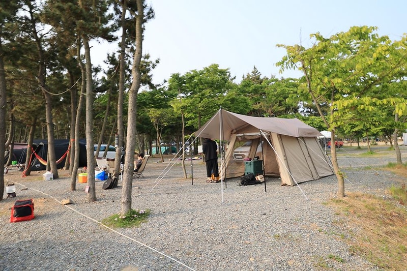 바다풍경관광농원 시설 사진 6