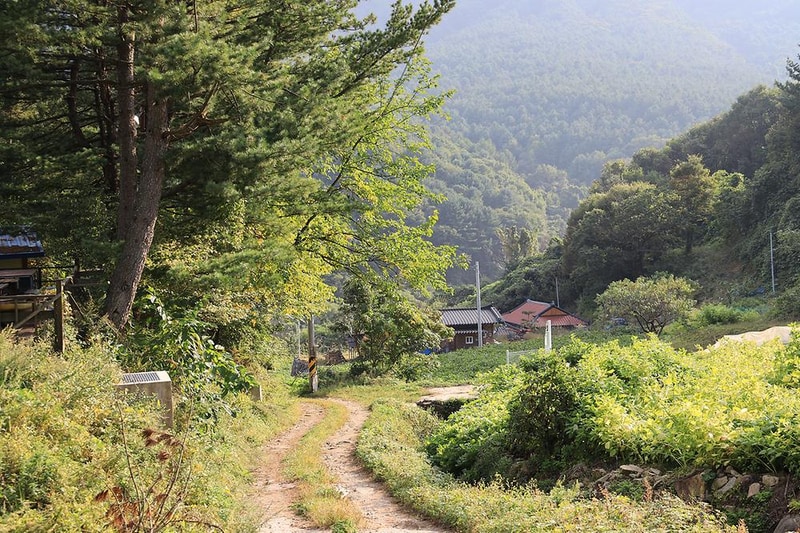 산대분교공공캠핑장 시설 사진 23