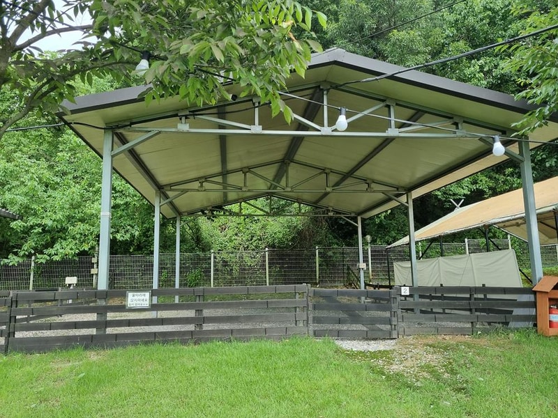 루파니애견캠핑장 시설 사진 18