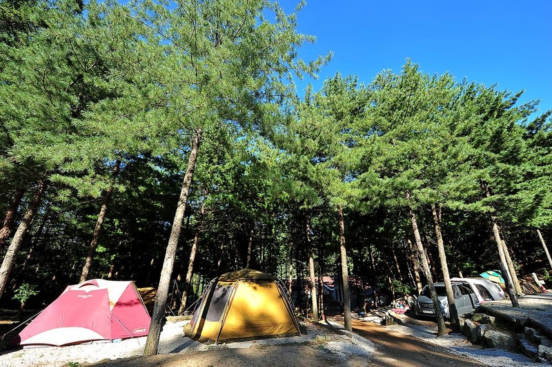 추동캠프 시설 사진 11