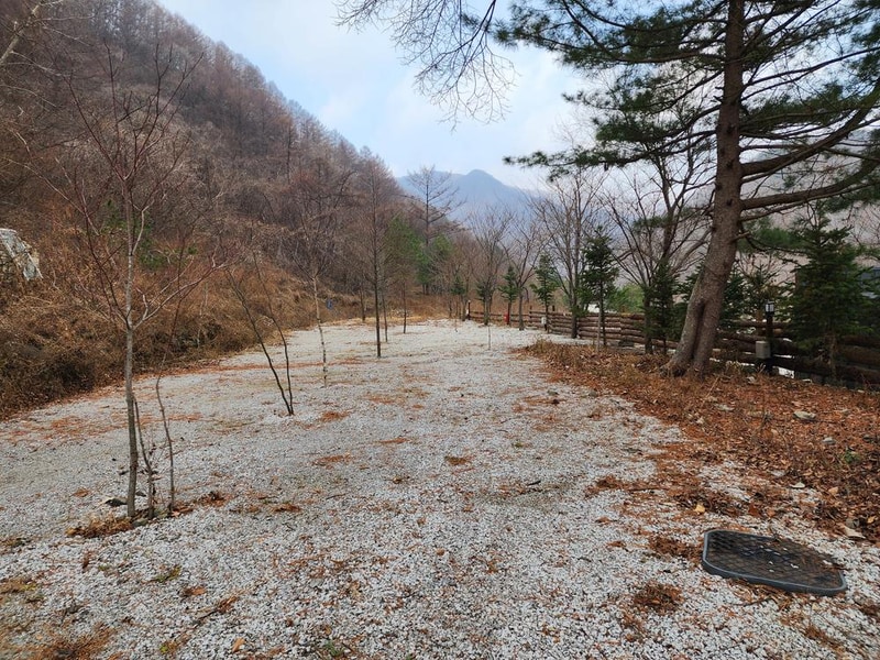 담터 민수 캠핑장 시설 사진 37