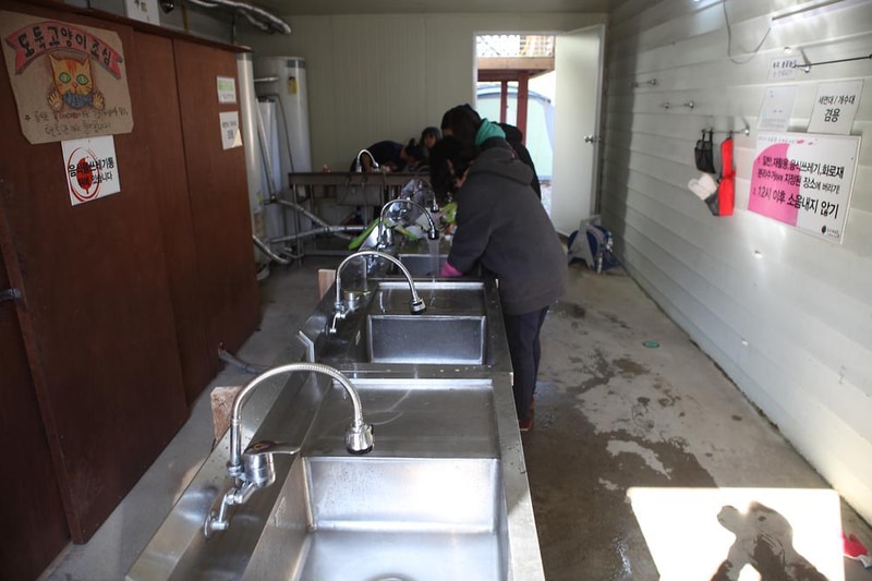 느티나무그늘아래 캠핑장 시설 사진 6