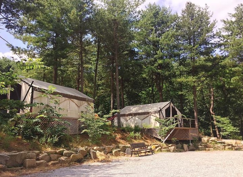 양평 다목적캠핑장 대표 사진