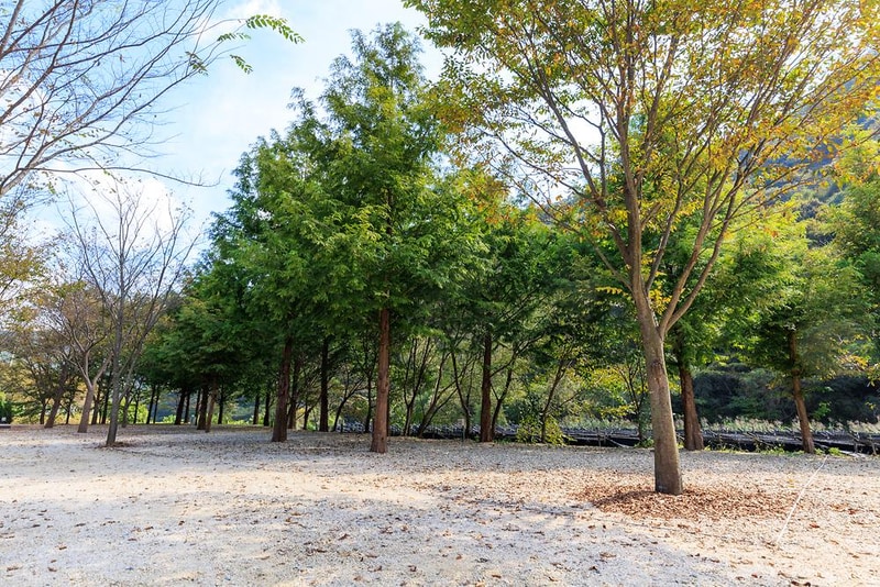 금산 자연 오토캠핑장 시설 사진 18