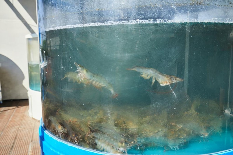 행복한 체험 캠핑장 시설 사진 4