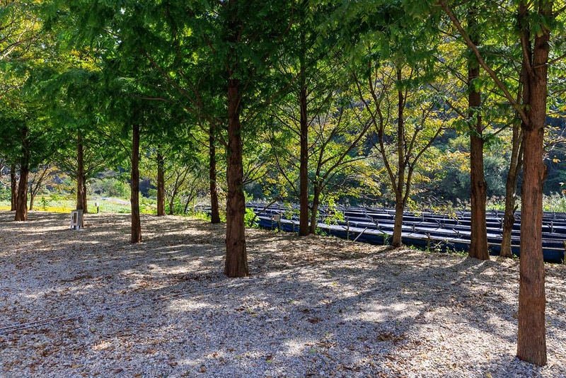 금산 자연 오토캠핑장 시설 사진 21