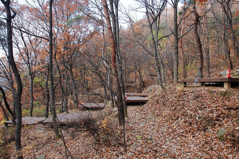 옥성 자연휴양림 시설 사진 4