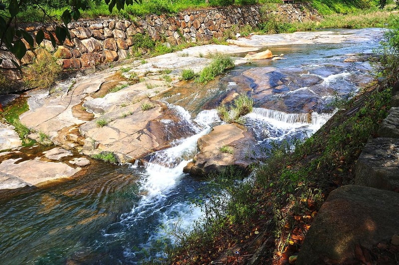 화왕산오토캠핑장 시설 사진 2