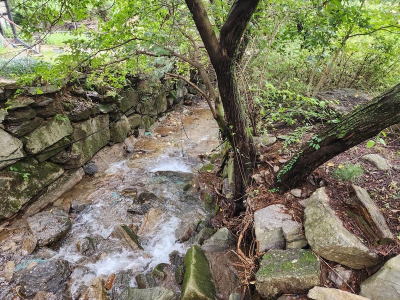 잣숲캠핑장 시설 사진 11