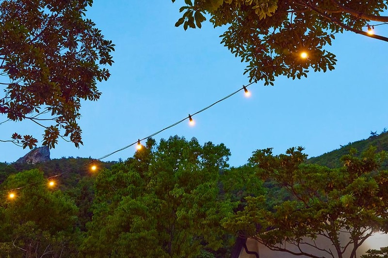 진도 카멜리아 힐즈 오토캠핑장 시설 사진 2