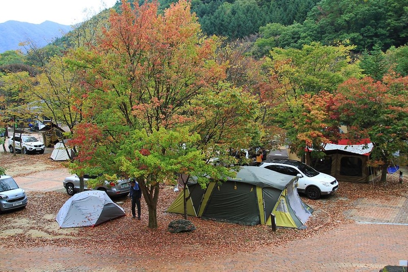 덕유대자동차야영장 시설 사진 25