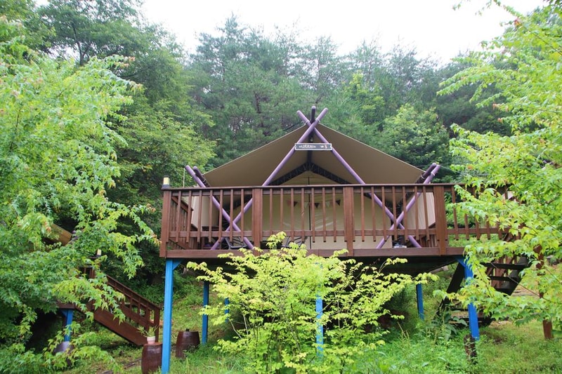 청풍월드니스글램핑 시설 사진 12