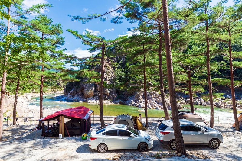 왕피천 숲속 캠핑장 시설 사진 15