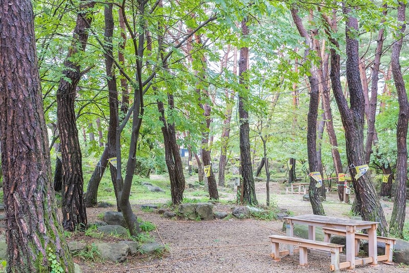 솔내음 캠핑장 시설 사진 8