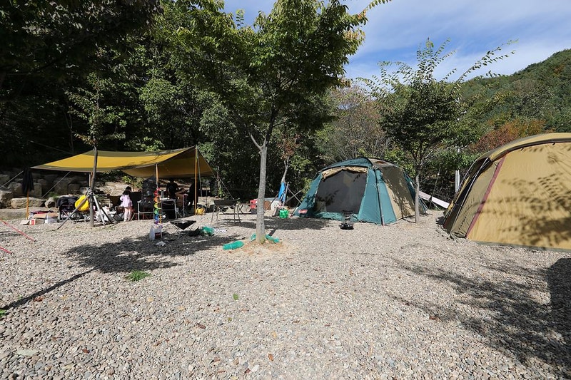 그린스톤오토캠핑장&펜션 시설 사진 17