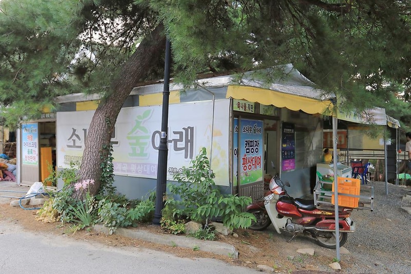 소나무숲아래 시설 사진 16