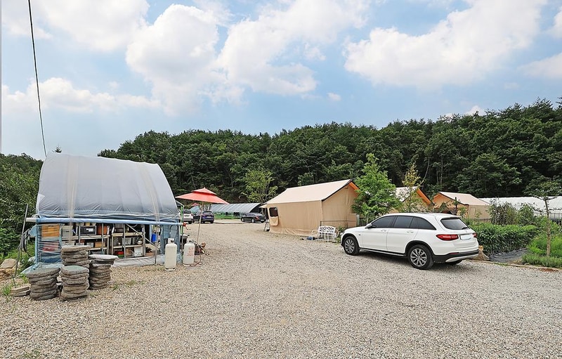 고성 탑 글램핑 농원 시설 사진 11