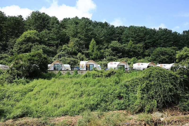 가평 네잎클로버 카라반 글램핑 시설 사진 8