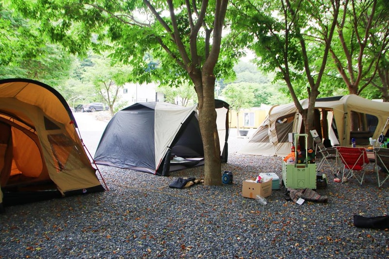 법흥계곡캠핑오늘 시설 사진 16