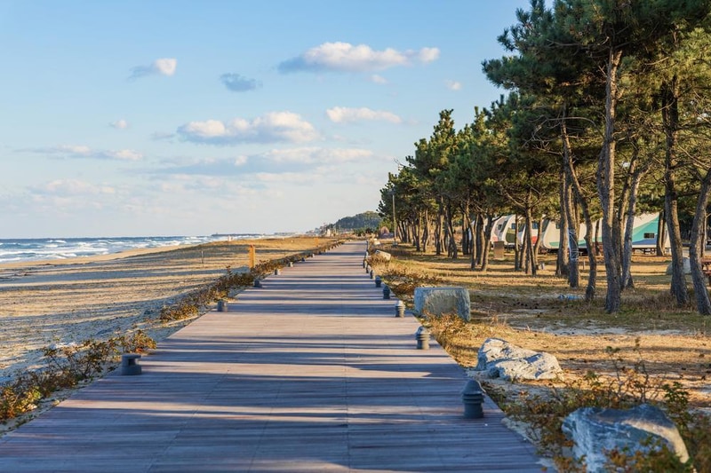 망상오토캠핑리조트 시설 사진 2