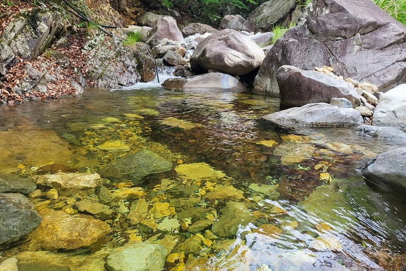 약초농원 캠핑장 시설 사진 4