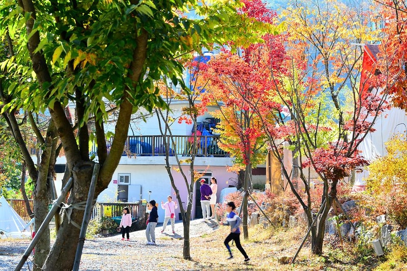 힐링가평오토캠핑장 시설 사진 7