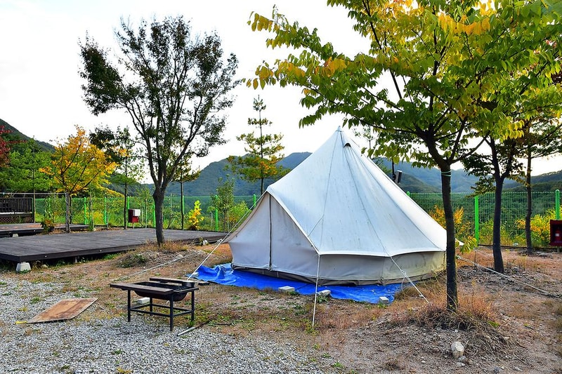 예손농원캠핑장 시설 사진 4