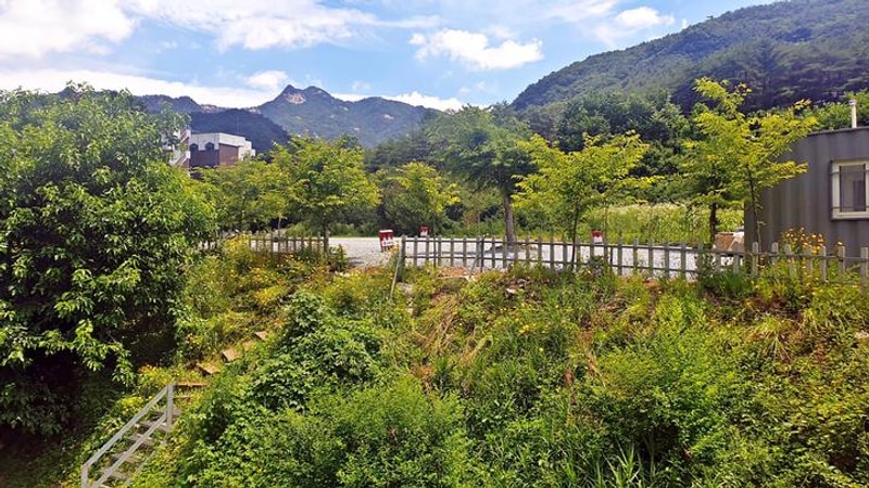 SOL Camping 대표 사진