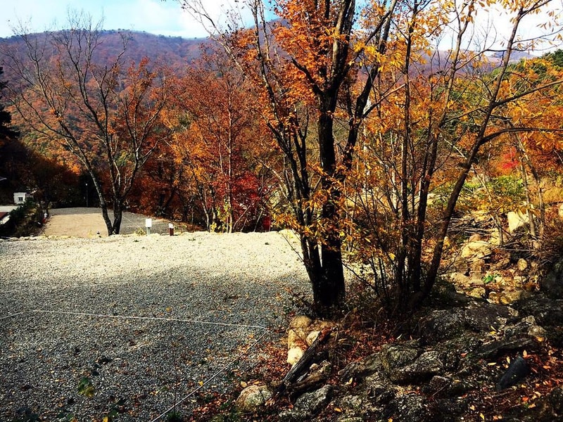 진틀펜션캠핑장 시설 사진 30