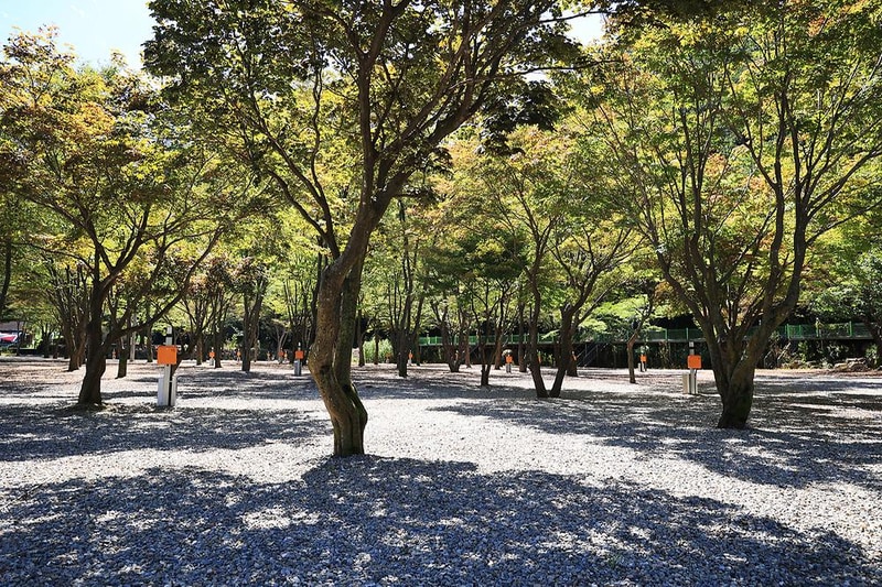 보물나라캠프 시설 사진 5