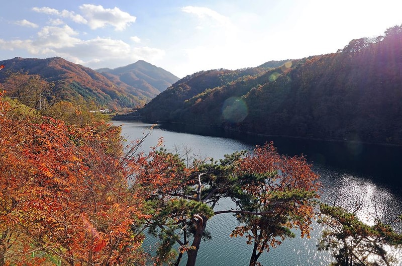 노블레스 글렘핑 카라반 시설 사진 4