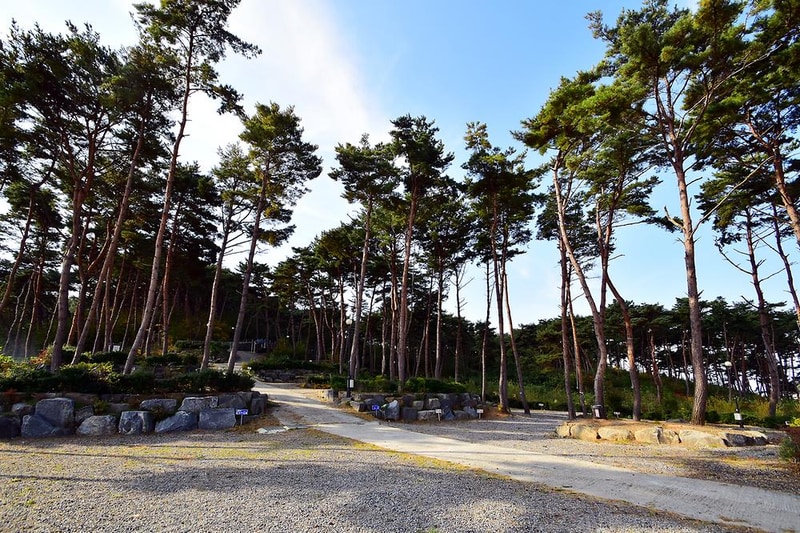 무창포솔원캠핑장 시설 사진 1