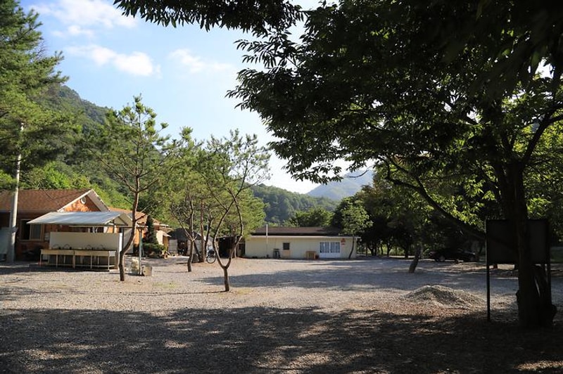 풍경 대표 사진