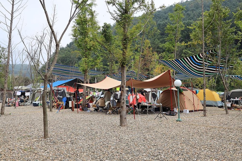 메타피아 오래캠핑장 & 카라반 시설 사진 14