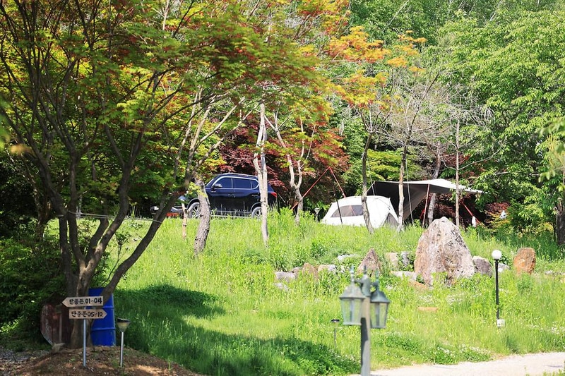 숲에서 놀자 시설 사진 6