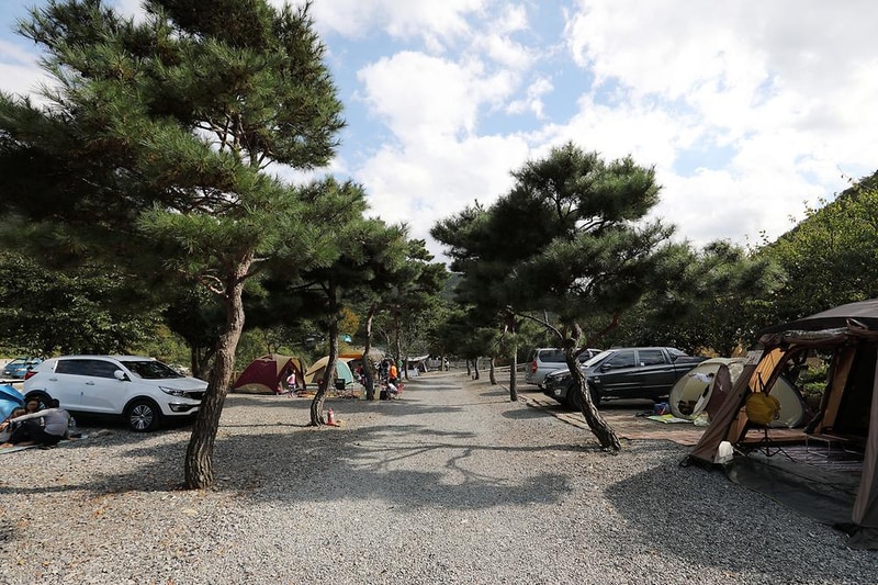 반딧불이 캠핑장 시설 사진 7