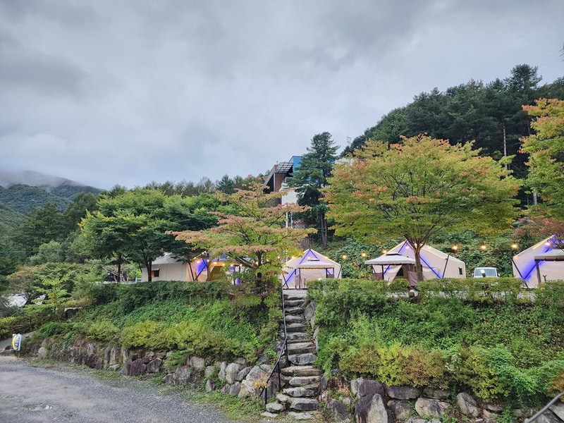 달빛정원글램핑&카라반 시설 사진 16