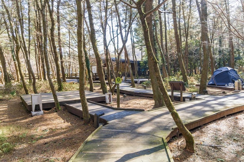 붉은오름 자연휴양림 숲속 야영장 시설 사진 19