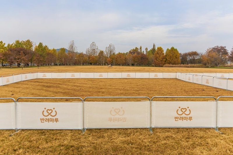 강천섬캠핑장 시설 사진 36