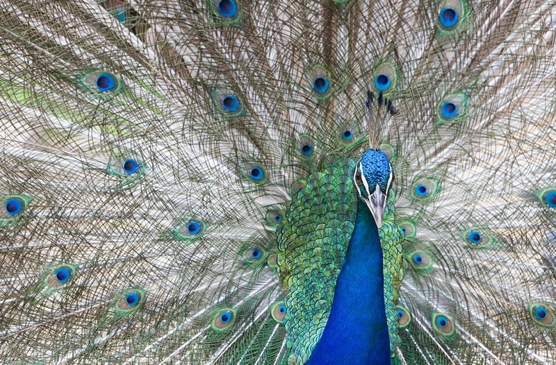 에이원 글램핑 관광농원 시설 사진 33