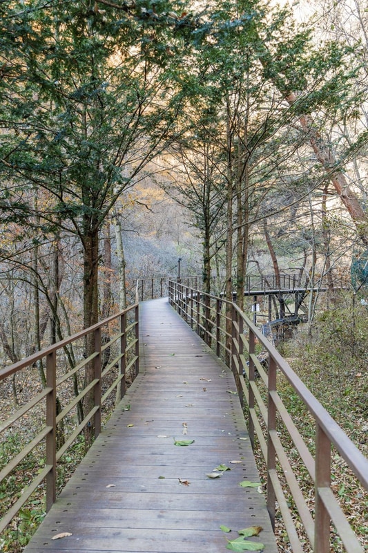 소백산국립공원 남천야영장 시설 사진 50