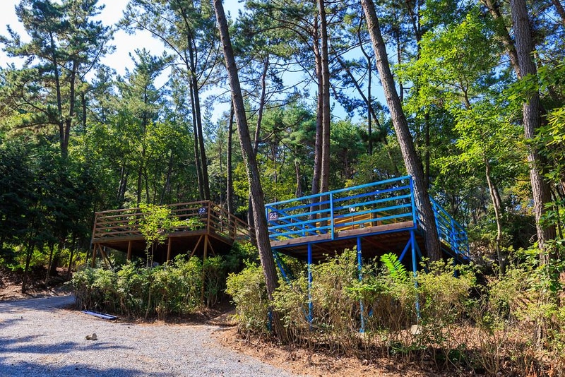 올레유 시설 사진 16