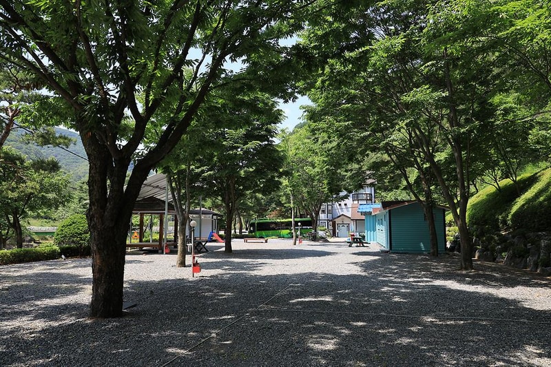 영월 솔향기 캠핑장 시설 사진 4