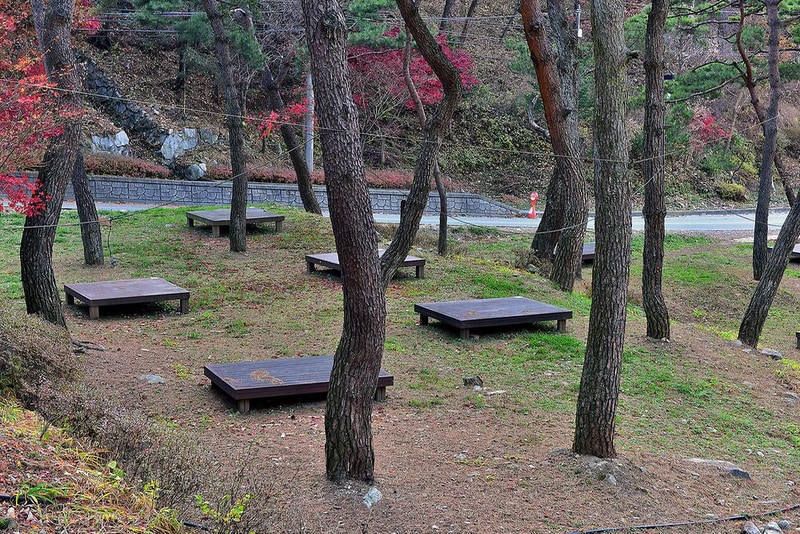 박달재 자연휴양림캠핑장 시설 사진 10