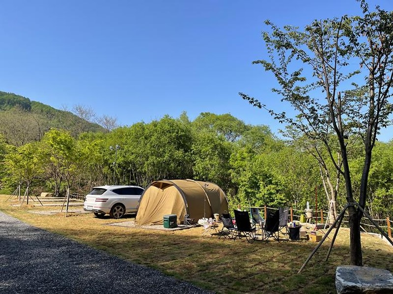 울미숲야영장 대표 사진